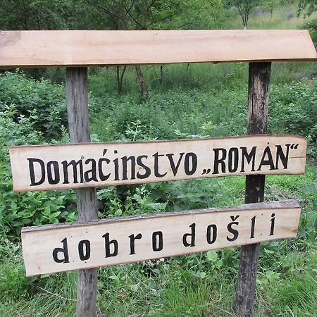 Country House Roman Добой Екстер'єр фото