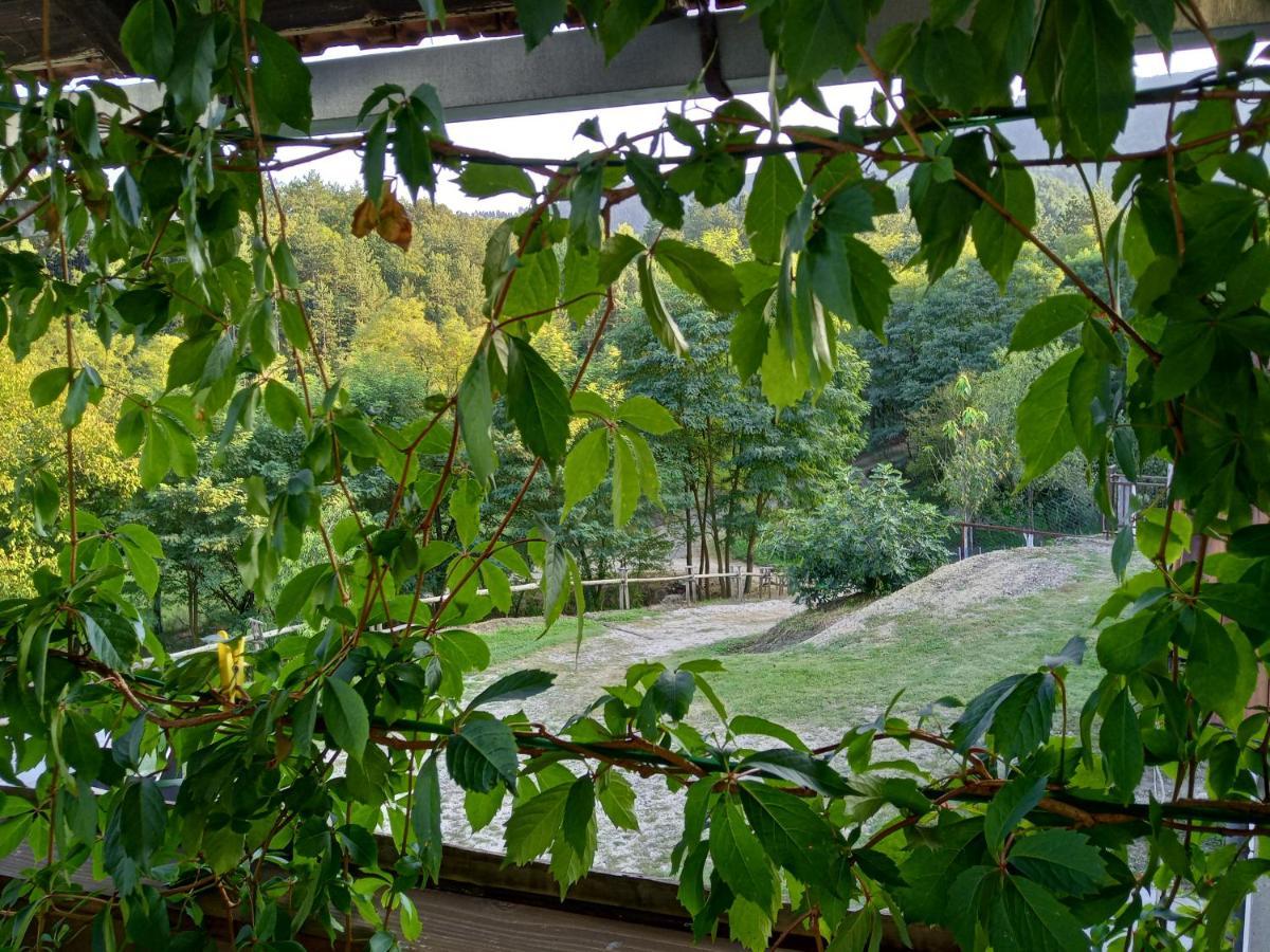 Country House Roman Добой Екстер'єр фото