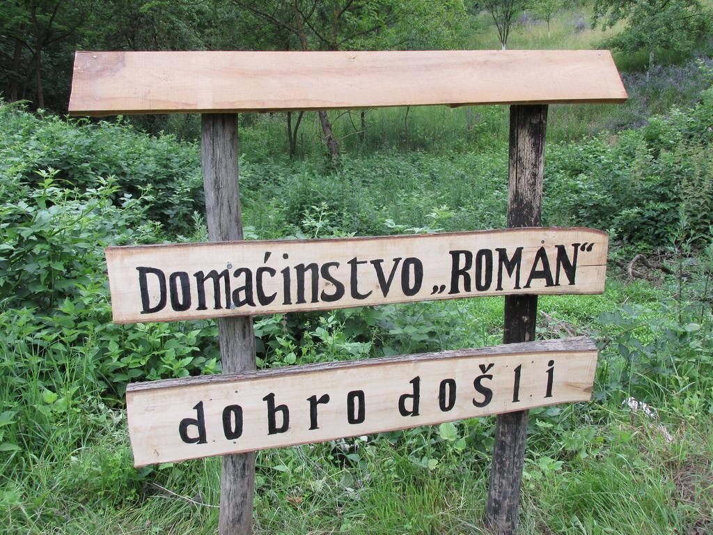 Country House Roman Добой Екстер'єр фото