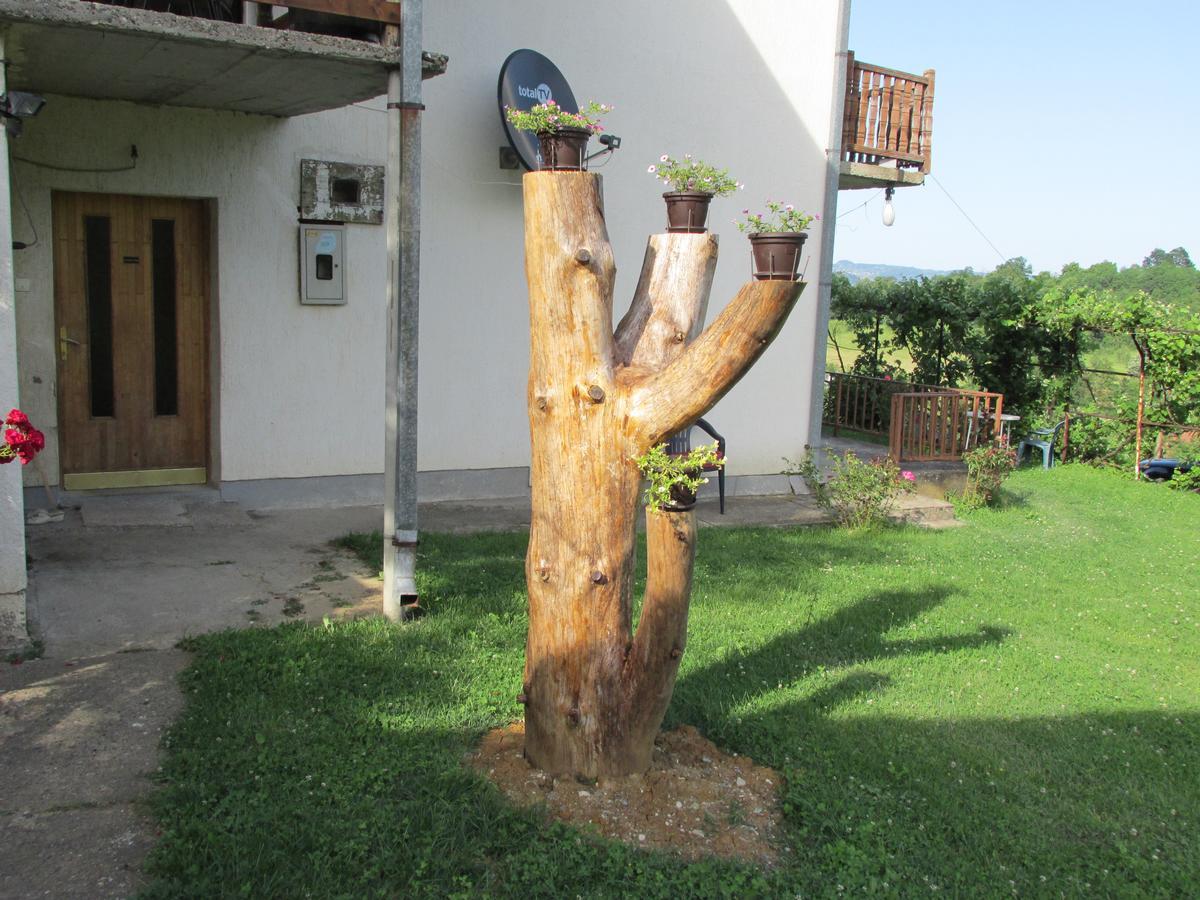 Country House Roman Добой Екстер'єр фото